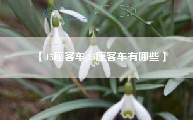 【15座客车,15座客车有哪些】