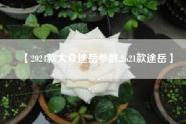 【2024款大众途岳参数,2o21款途岳】