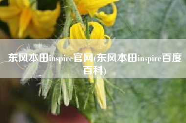 东风本田inspire官网(东风本田inspire百度百科)