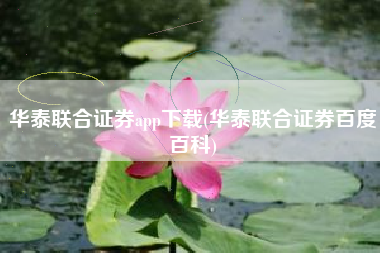 华泰联合证券app下载(华泰联合证券百度百科)