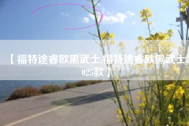 【福特途睿欧黑武士,福特途睿欧黑武士2025款】