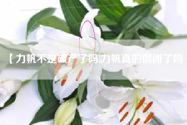 【力帆不是破产了吗,力帆真的倒闭了吗】