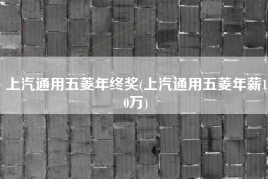 上汽通用五菱年终奖(上汽通用五菱年薪10万)