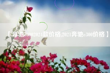 【奔驰e3002024款价格,2021奔驰e300价格】