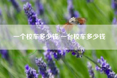 一个校车多少钱/一台校车多少钱
