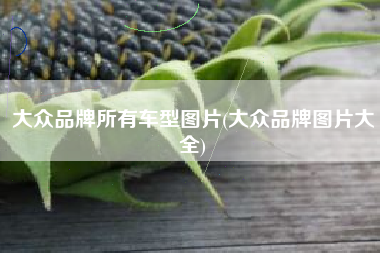 大众品牌所有车型图片(大众品牌图片大全) 大众品牌所有车型图片(大众品牌图片大全)