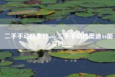 二手手动挡奥迪a6l(二手手动挡奥迪A6能买吗)