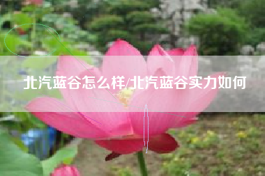 北汽蓝谷怎么样/北汽蓝谷实力如何