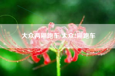 大众两厢跑车/大众2厢跑车