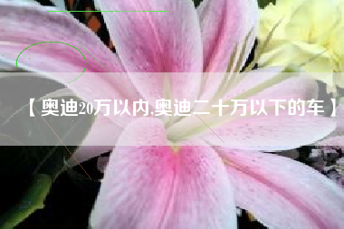 【奥迪20万以内,奥迪二十万以下的车】