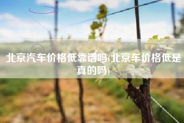北京汽车价格低靠谱吗(北京车价格低是真的吗)