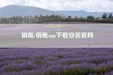 销氪/销氪app下载安装官网