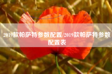 2019款帕萨特参数配置/2019款帕萨特参数配置表