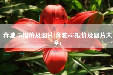 奔驰c55报价及图片(奔驰c55报价及图片大全) 奔驰c55报价及图片(奔驰c55报价及图片大全)