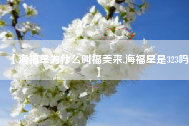 【海福星为什么叫福美来,海福星是323吗】