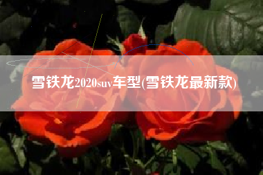 雪铁龙2020suv车型(雪铁龙最新款) 雪铁龙2020suv车型(雪铁龙最新款)