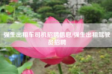 强生出租车司机招聘信息/强生出租驾驶员招聘 强生出租车司机招聘信息/强生出租驾驶员招聘