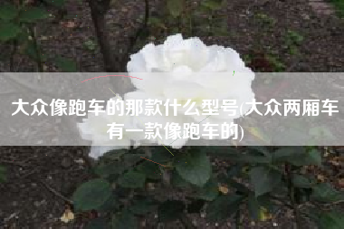 大众像跑车的那款什么型号(大众两厢车有一款像跑车的)