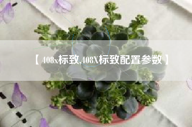 【408x标致,408X标致配置参数】