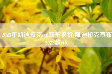 2023年凯迪拉克ct6新车报价(凯迪拉克宣布2022款ct6)