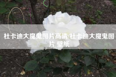 杜卡迪大魔鬼图片高清/杜卡迪大魔鬼图片 壁纸