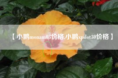 【小鹏monam03价格,小鹏xpilot30价格】 【小鹏monam03价格,小鹏xpilot30价格】