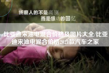 比亚迪宋油电混合价格及图片大全/比亚迪宋油电混合价格2021款汽车之家