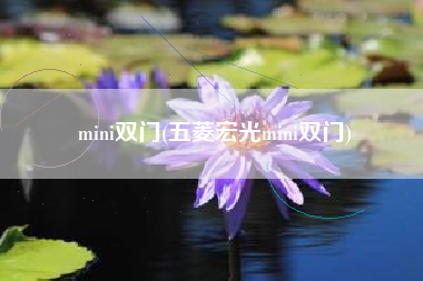 mini双门(五菱宏光mini双门) mini双门(五菱宏光mini双门)