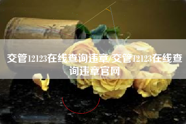 交管12123在线查询违章/交管12123在线查询违章官网 交管12123在线查询违章/交管12123在线查询违章官网
