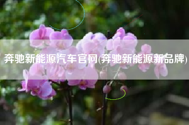 奔驰新能源汽车官网(奔驰新能源新品牌)