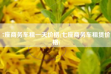 7座商务车租一天价格(七座商务车租赁价格)