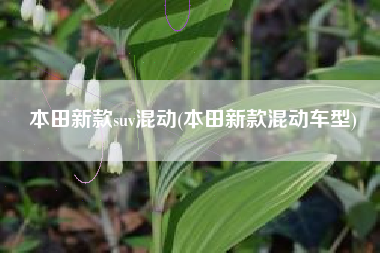 本田新款suv混动(本田新款混动车型)