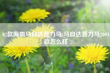02款海南马自达普力马/马自达普力马2004款怎么样
