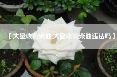 【大量收购柴油,大量收购柴油违法吗】