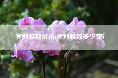 宾利雅致价格(宾利雅致多少钱) 宾利雅致价格(宾利雅致多少钱)