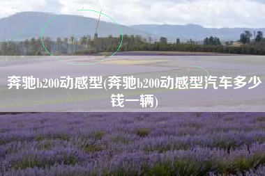 奔驰b200动感型(奔驰b200动感型汽车多少钱一辆)