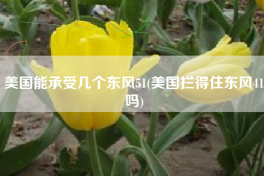 美国能承受几个东风51(美国拦得住东风41吗) 美国能承受几个东风51(美国拦得住东风41吗)