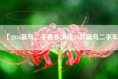 【2016蓝鸟二手要多少钱,16款蓝鸟二手车】