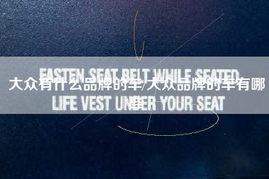 大众有什么品牌的车/大众品牌的车有哪些