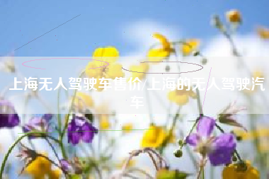 上海无人驾驶车售价/上海的无人驾驶汽车