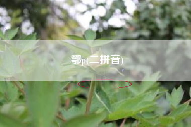 鄂p(二拼音)