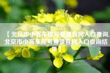 【北京市小客车摇号登录官网入口查询,北京市小客车摇号登录官网入口查询结果】 【北京市小客车摇号登录官网入口查询,北京市小客车摇号登录官网入口查询结果】