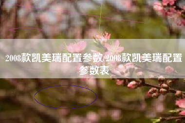 2008款凯美瑞配置参数/2008款凯美瑞配置参数表