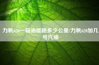 力帆620一箱油能跑多少公里/力帆620加几号汽油