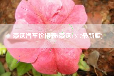 豪沃汽车价格表(豪沃tⅹ7最新款)