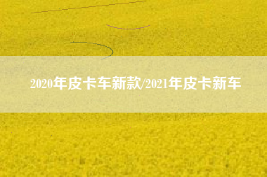 2020年皮卡车新款/2021年皮卡新车 2020年皮卡车新款/2021年皮卡新车