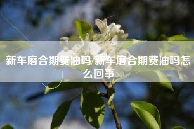 新车磨合期费油吗/新车磨合期费油吗怎么回事