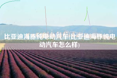 比亚迪海豚纯电动汽车(比亚迪海豚纯电动汽车怎么样) 比亚迪海豚纯电动汽车(比亚迪海豚纯电动汽车怎么样)