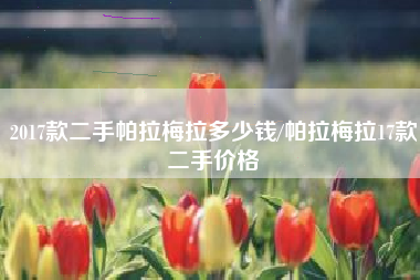 2017款二手帕拉梅拉多少钱/帕拉梅拉17款二手价格