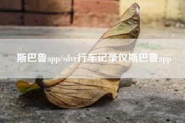 斯巴鲁app/sdvr行车记录仪斯巴鲁app